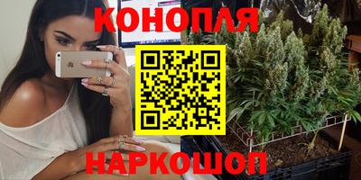 стафф Моздок