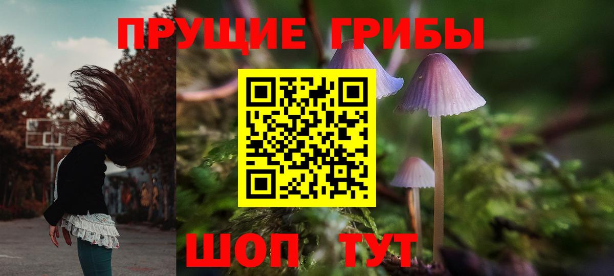 Электросталь  как найти наркотики  Вход с VPN  Псилоцибиновые грибы GOLDEN TEACHER 